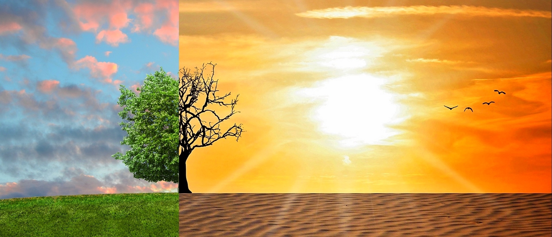 Cambio Climático (10°ed.) UCH_150