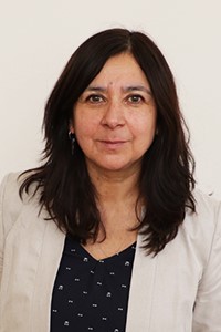 Claudio Millacura Salas (Coordinador académico)